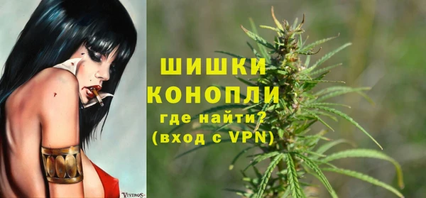 винт Аркадак