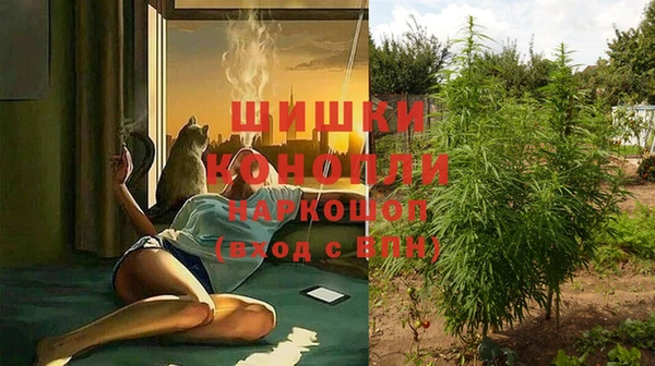 винт Аркадак
