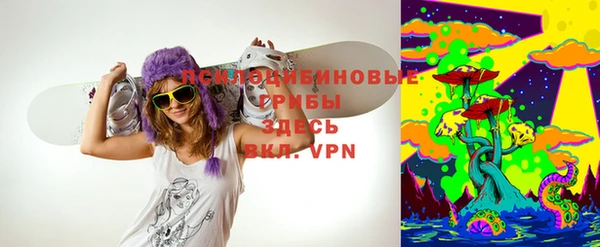 винт Аркадак