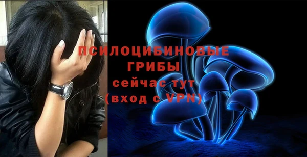 винт Аркадак