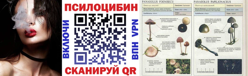 Псилоцибиновые грибы Magic Shrooms  OMG зеркало  Ессентуки  наркотики 