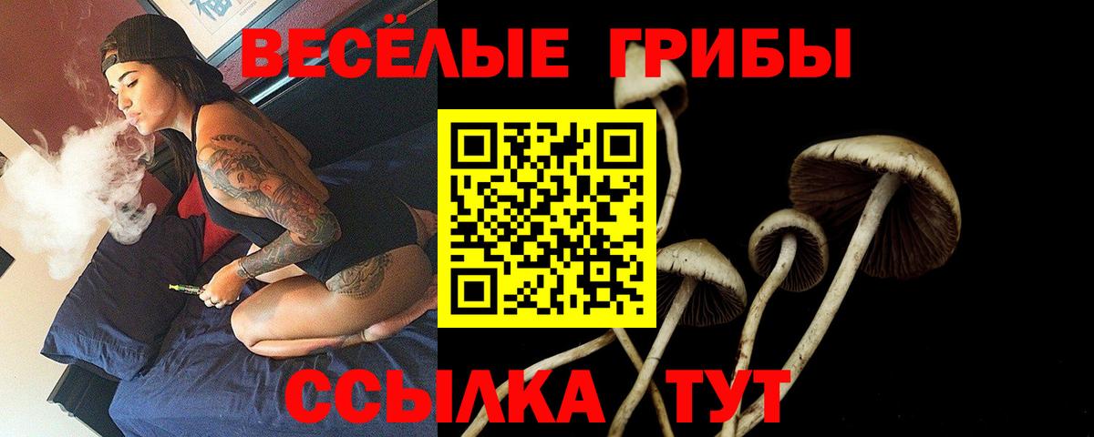 Галлюциногенные грибы ЛСД  Вход с VPN  Ессентуки 