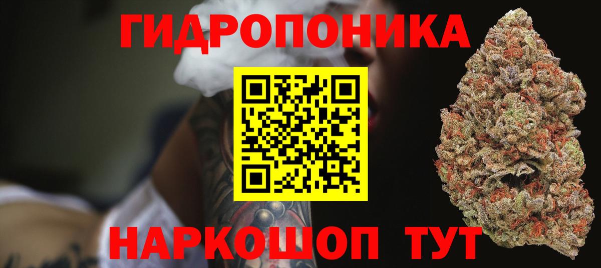 Шишки марихуана марихуана  Вход с VPN  Канабис Amnesia  Конопля планчик  Ессентуки  МАРИХУАНА MAZAR 